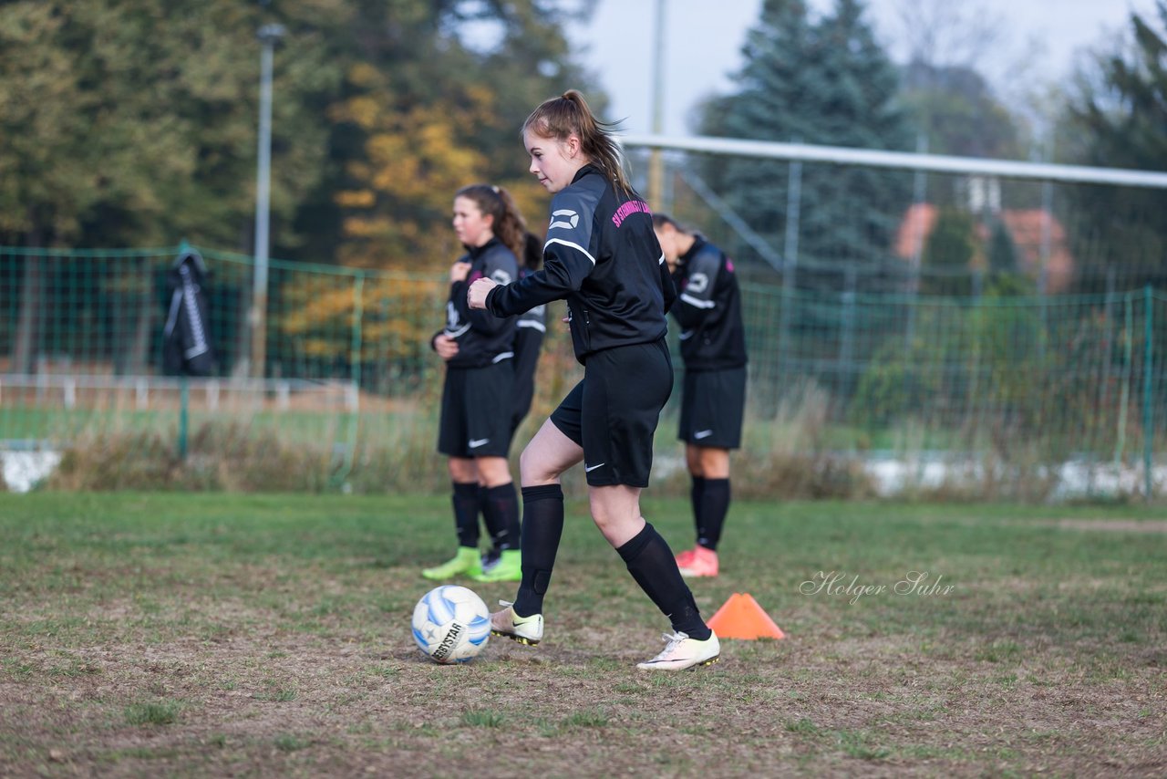 Bild 84 - wBJ MSG Steinhorst-Krummesse - VfL Pinneberg : Ergebnis: 2:0